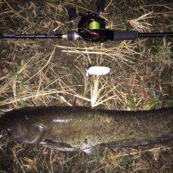 雨+増水+濁り＝絶対